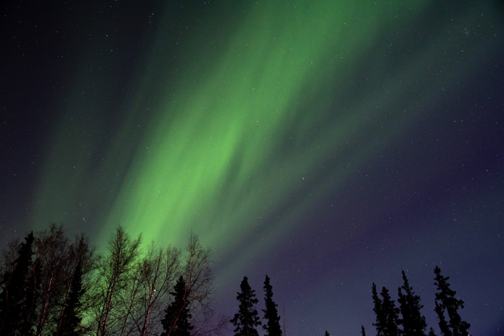 Photo of the night sky with the aurora borealis or Northern Lights taken in Fairbanks, Alaska.
