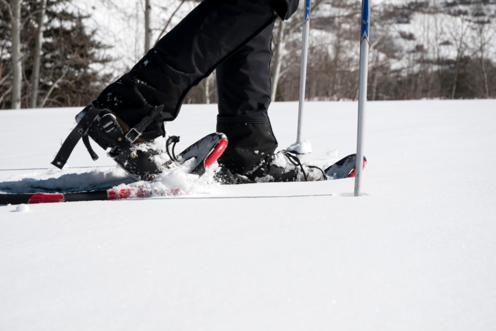 Best Things to do in Fairbanks in Winter Wear I Wandered